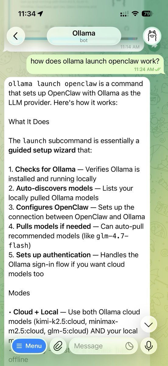 Ollama CLI executing headless web search plugin for CI/CD code review pipeline