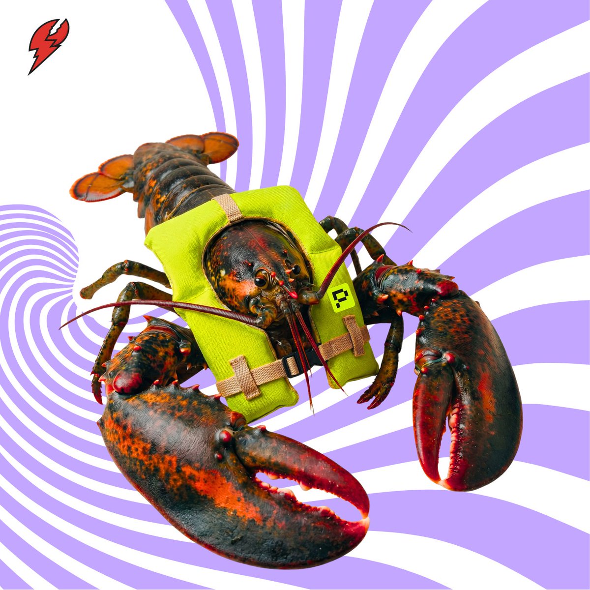 OpenClaw 智能体在 Phala TEE 硬件飞地中安全运行并加密数据流的示意图