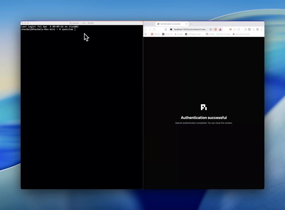 OpenClaw 设置界面中配置 OpenAI Codex API 密钥以绕过 Anthropic 限制的操作步骤
