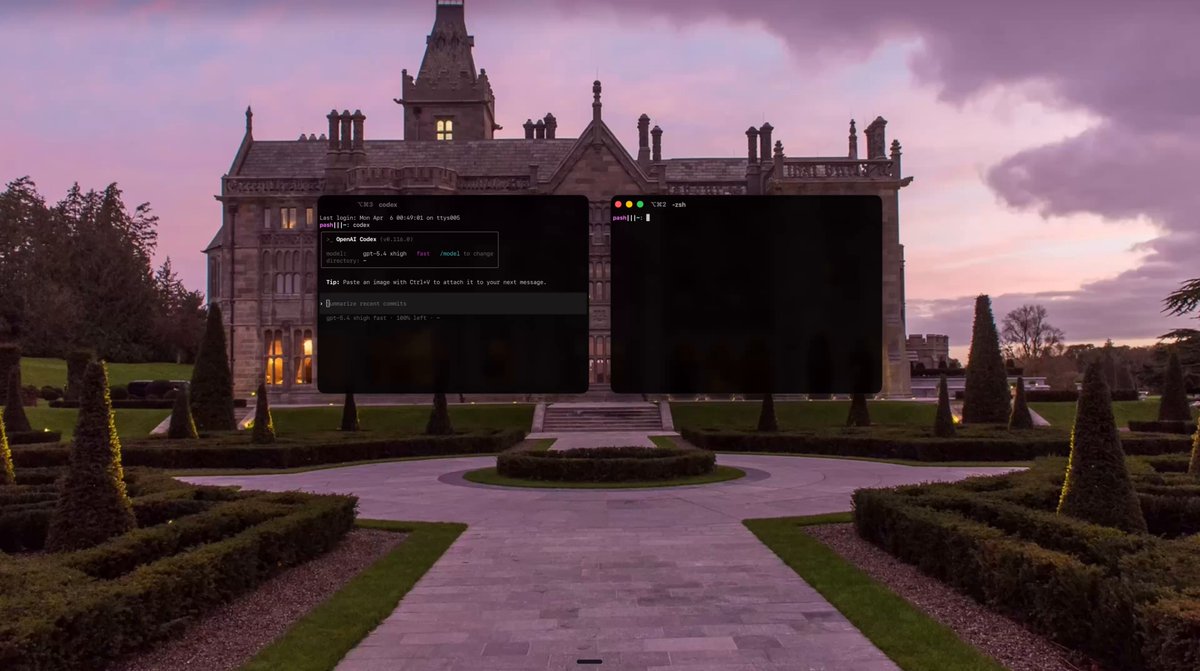 Terminal window executing openclaw command to switch Lobstar AI provider to OpenAI Codex
